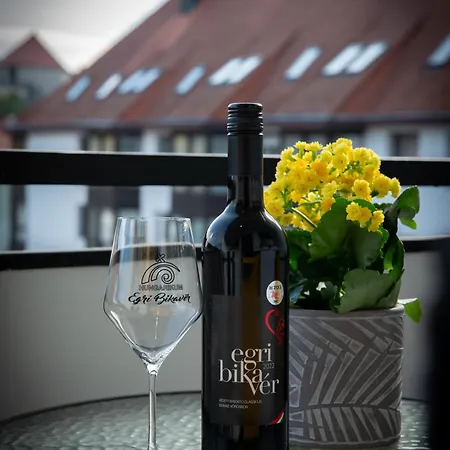 Castle View Appartement *